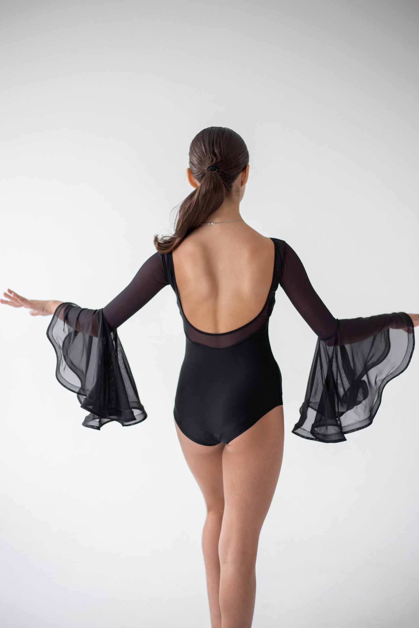 Body for the European program